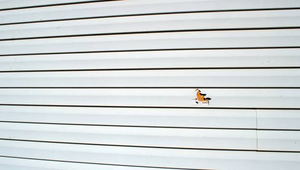 Best Storm Damage Siding Repair  in Good Hope, CA